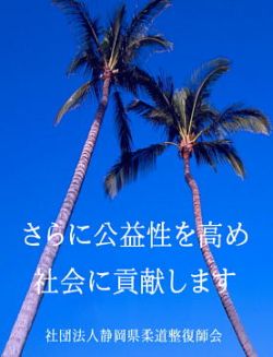 静岡県柔道整復師会ポスター